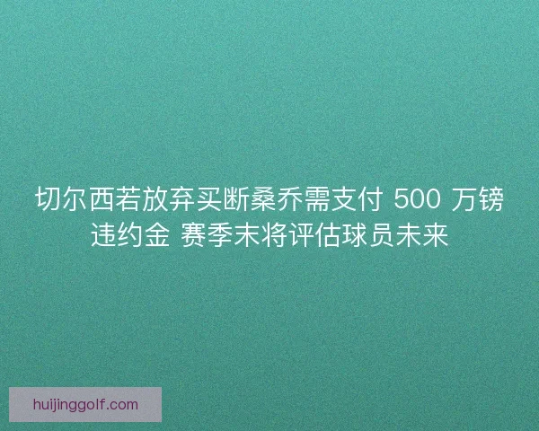 切尔西若放弃买断桑乔需支付 500 万镑违约金 赛季末将评估球员未来